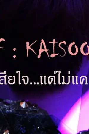 ปกนิยาย EXO:KaiSoo : Misunderstand