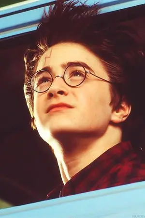 ปกนิยาย [Harry potter] : Short Fic Yaoi All HP (main. DM/HP)