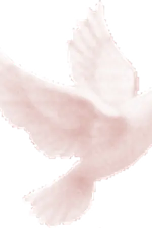 ปกนิยาย เมื่อสายฝนโปรย เรายังจะคิดถึงกันเสมอ