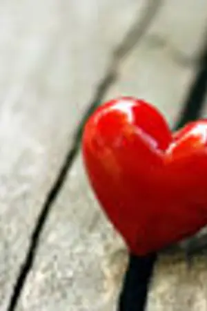 ปกนิยาย ปฏิหาริย์วิ้ง หัวใจปิ๊งรัก