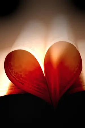 ปกนิยาย 1 คำมั่น 2 คำสัญญา yaoi