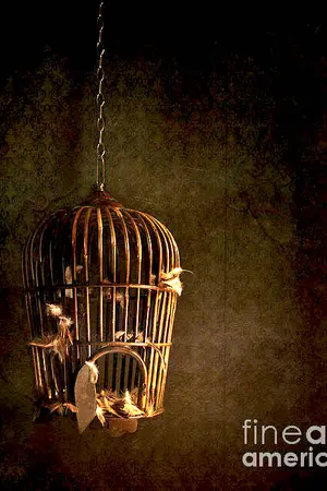 ปกนิยาย [Fic Singular] l Reverie l