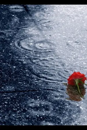 ปกนิยาย Custode Societa' ปริศนาคำสาปร้ายแห่งทรานซิลเวเนีย[Malerose]