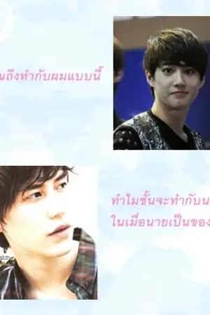 ปกนิยาย {FIC} Love Tears KYUHYUN&SUHO SJ EXO