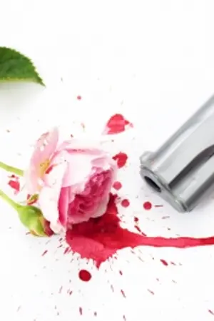 ปกนิยาย Bloody Valentine (Yuri)