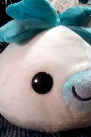 ปกนิยาย Shy Dream's ลิขิตฝัน (15+)