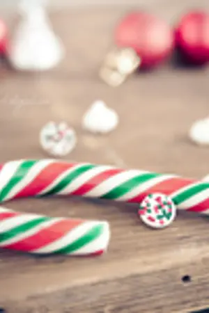 ปกนิยาย [Fic HSJ] Merry x'mas  love you more [OkaMori]