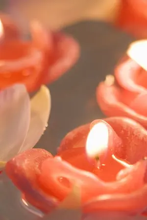 ปกนิยาย สุริยายอแสง จันทราคล้อย (yaoi) (mpreg) เปิดจอง