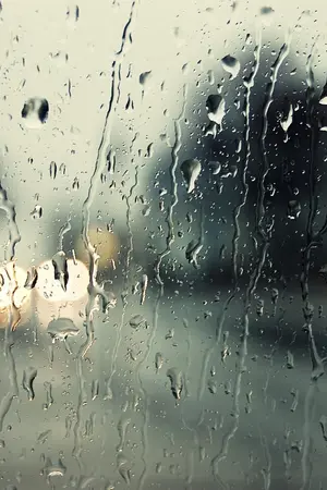 ปกนิยาย [FIC] The Last Love (KYUMIN)