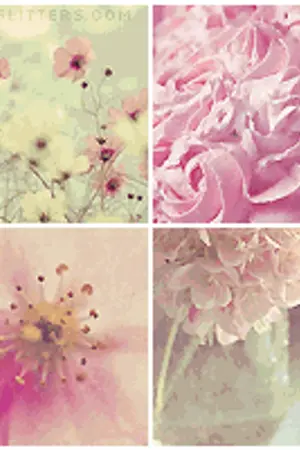 ปกนิยาย [Sell Jamsai & Ets.] ขายหนังสือ ที่คั่นและอื่นๆ