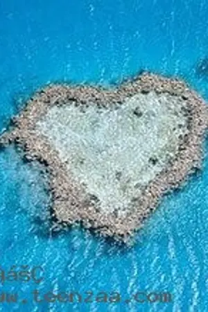 ปกนิยาย LoveSong