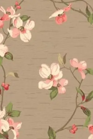 ปกนิยาย Say Hi! Dojin