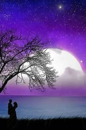 ปกนิยาย {Liquirr&Leonight}+เจ้าหญิงกับจอมโจร+