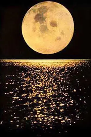 ปกนิยาย ไพลินเล่ห์รัก