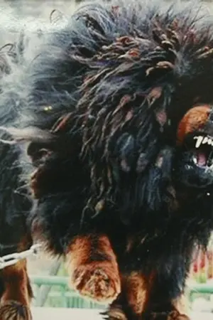 ปกนิยาย ร้อยป่า ออนไลน์