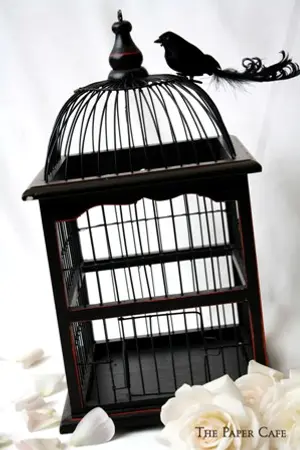 ปกนิยาย Bird cage ปริศนาห้องกรงนก