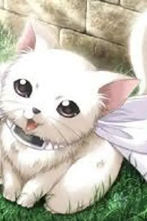 ปกนิยาย Love Boy Love me รักนี้อลวน ภาค คิระกับวิน