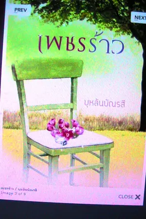 ปกนิยาย เพชรร้าววาง(เเผง 22 ก.พ นี้)