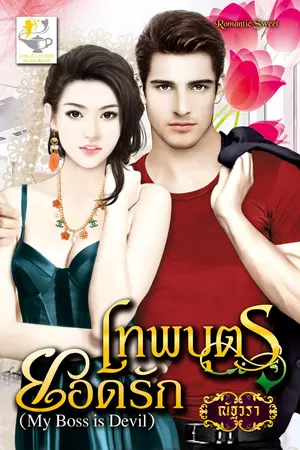 ปกนิยาย