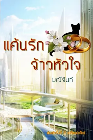 ปกนิยาย