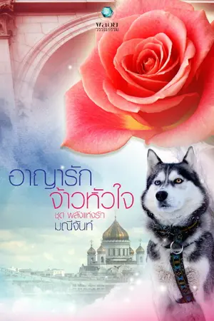 ปกนิยาย