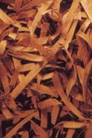 ปกนิยาย Psychology:Mystery:Strange