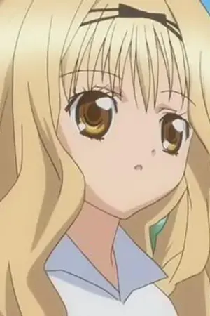 ปกนิยาย รูป Shugo Chara จ้าา :D