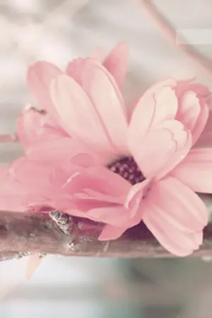 ปกนิยาย Rube BoyZ THE SERIES *Yaoi*