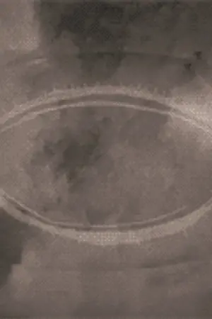 ปกนิยาย Goddamn! เมื่อพระเจ้าเริ่มเล่นตลก 'จริงจัง'