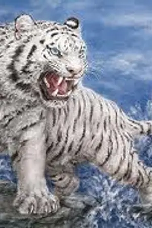 ปกนิยาย ดวงใจเจ้าพยัคฆ์ yaoi (รักนี้คือนิยายไร้นิยาม)