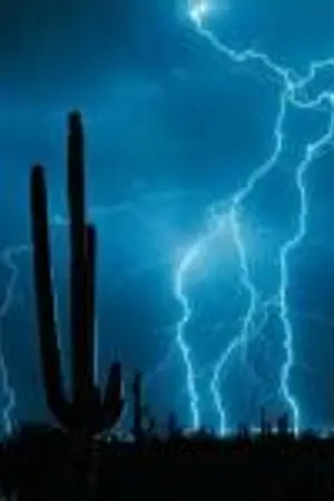 ปกนิยาย The Road เส้นทางสู่การล่มสลาย