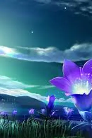 ปกนิยาย ท้องฟ้ายามค่ำคืน