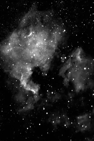 ปกนิยาย ☠[Love&war][Yaoi]☠