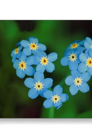 ปกนิยาย [Fic TS6] Prince Diary