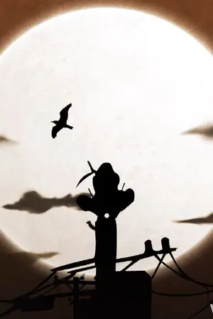 ปกนิยาย เธอกับเขา และเราสองคน