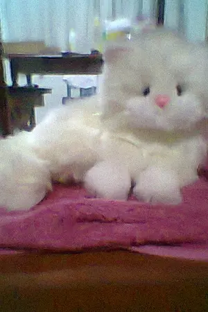 ปกนิยาย LOVE LIKE CAT รักนี้มีแมวเป็นสื่อรัก