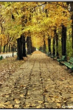 ปกนิยาย [BEAST/B2ST] "Be with you" (WoonKwang x DooSeop x JunSeung)