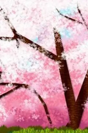 ปกนิยาย Sakurai Love รักสาวใต้ต้นซากุระ