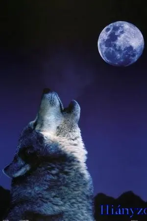 ปกนิยาย ตำนานรักเจ้าชายหมาป่า