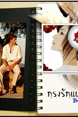 ปกนิยาย