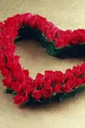 ปกนิยาย ตำนานกุหลาบ อาโดนิส