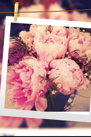 ปกนิยาย ร้ายซ้อนลิขิตรัก