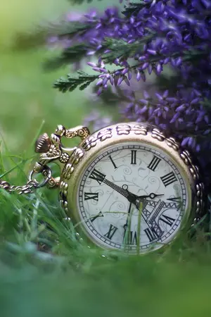 ปกนิยาย Guardian Soul.หัวขโมยผู้พิทักษ์