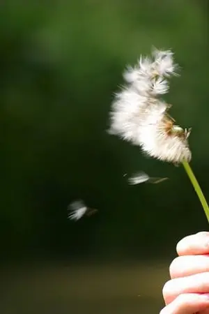 ปกนิยาย Every love story ; {SF} kyumin ft.suju