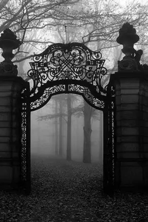 ปกนิยาย เวทย์วิทยาลัยเมอราจ