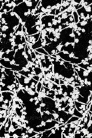 ปกนิยาย ۩ﺴ ประตูต่างมิติ Wonderful wor ﺴ۩