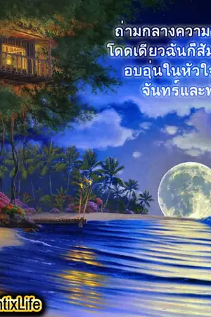 ปกนิยาย