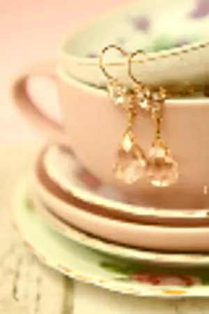 ปกนิยาย :: My Private Rooms ::