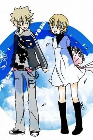 ปกนิยาย แปลเพลงจากเรื่องรีบอร์น