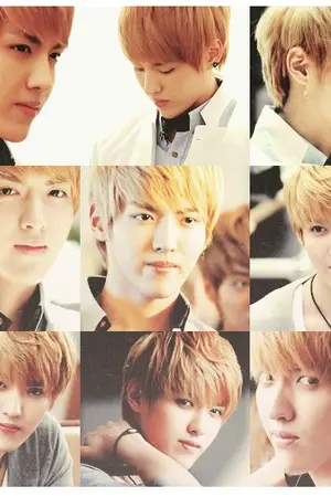 ปกนิยาย เนื้อเพลง คำแปล Exo - Growl [Chinese Ver.]